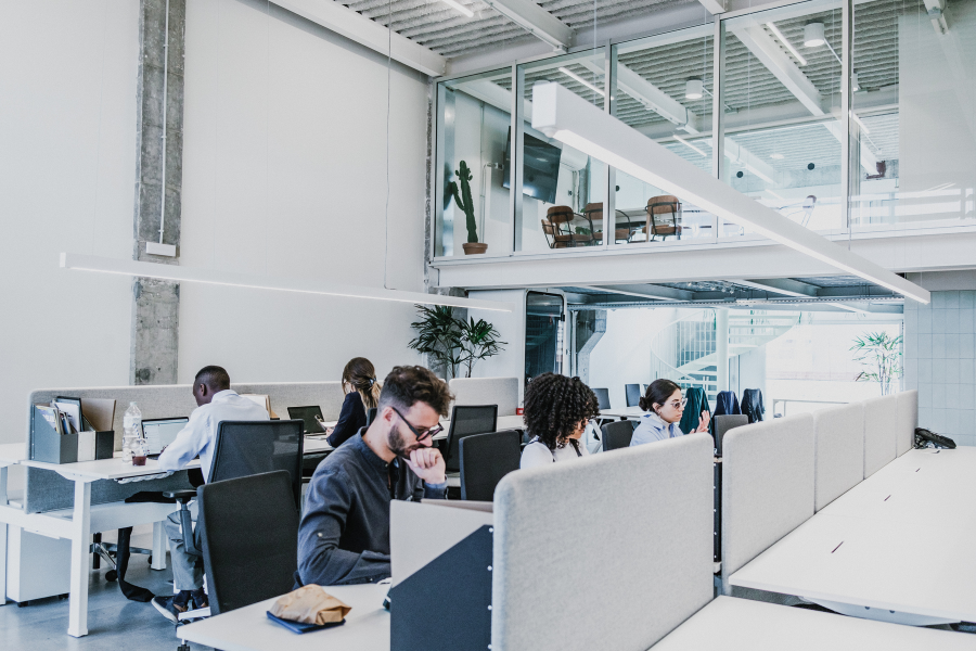 Equipo DESBA trabajando